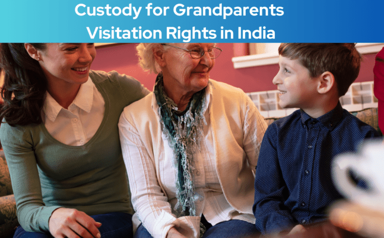  Custody for Grandparents Visitation Rights in India